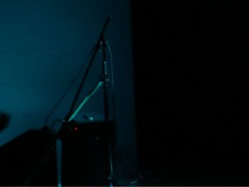 Curadoria Instituto Ling